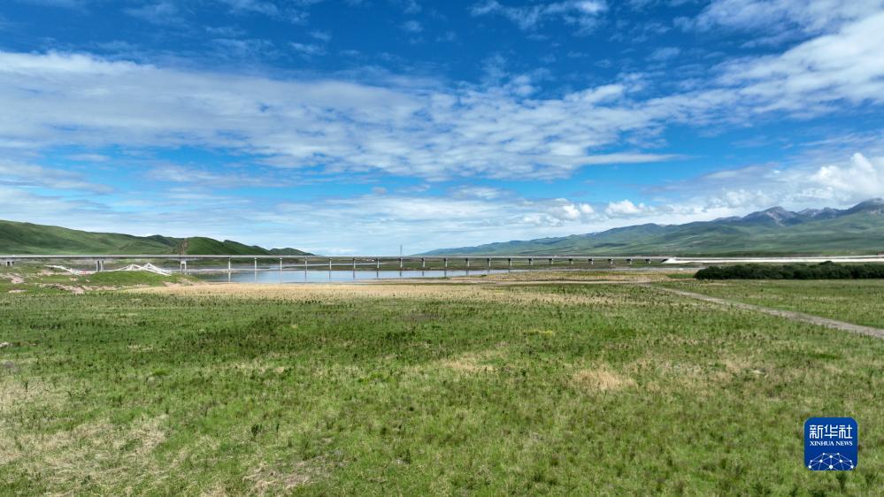 微乐斗地主福利码